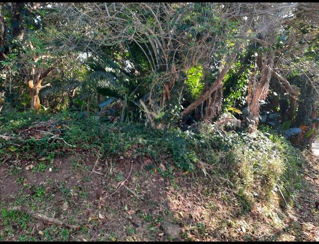 LAND FOR SALE IN PALM BEACH